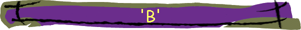 'B'
