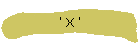 ' X '